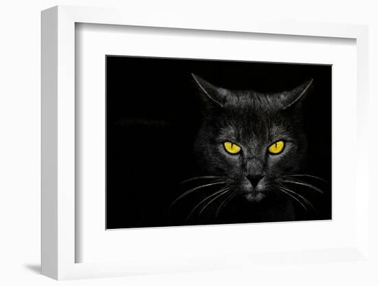 Monster Kill-Davorin Baloh-Framed Premium Photographic Print