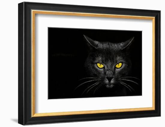 Monster Kill-Davorin Baloh-Framed Premium Photographic Print