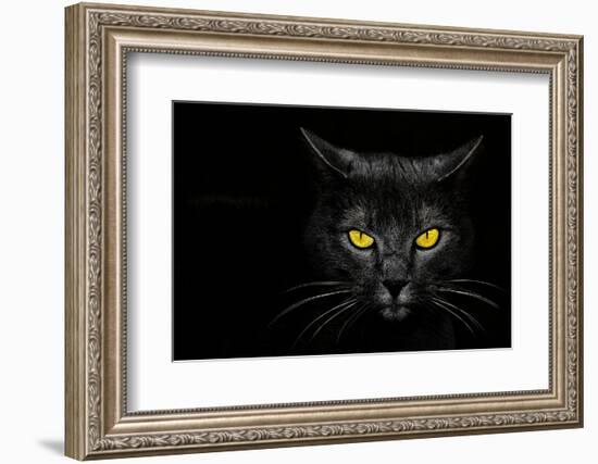 Monster Kill-Davorin Baloh-Framed Photographic Print