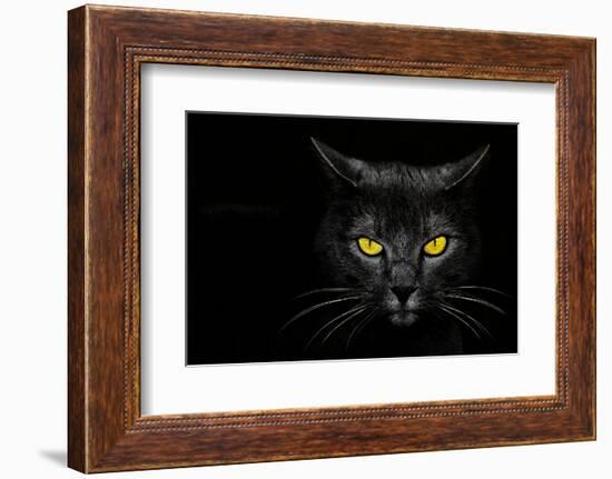 Monster Kill-Davorin Baloh-Framed Photographic Print