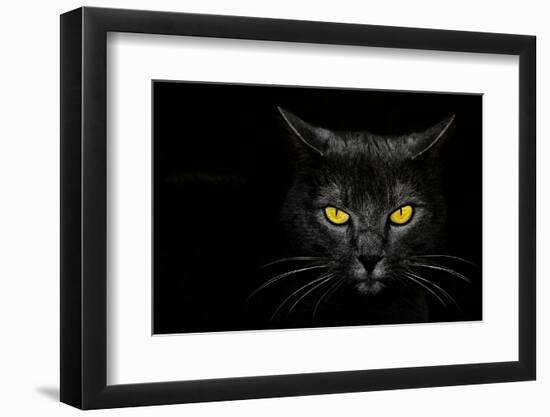 Monster Kill-Davorin Baloh-Framed Photographic Print