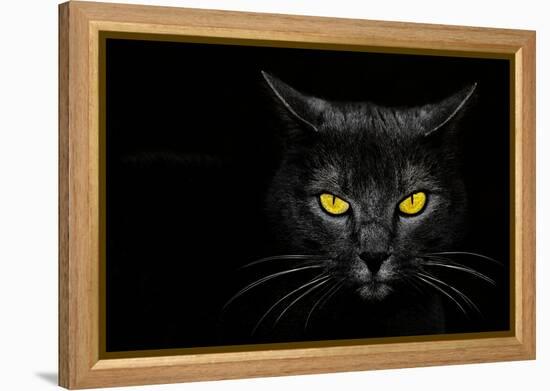 Monster Kill-Davorin Baloh-Framed Premier Image Canvas