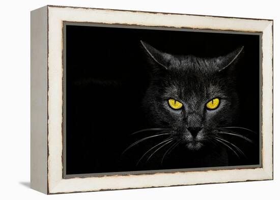 Monster Kill-Davorin Baloh-Framed Premier Image Canvas