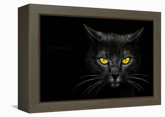 Monster Kill-Davorin Baloh-Framed Premier Image Canvas