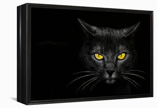 Monster Kill-Davorin Baloh-Framed Premier Image Canvas