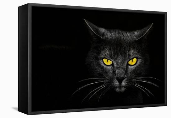 Monster Kill-Davorin Baloh-Framed Premier Image Canvas