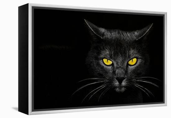 Monster Kill-Davorin Baloh-Framed Premier Image Canvas