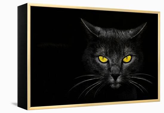 Monster Kill-Davorin Baloh-Framed Premier Image Canvas