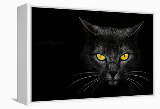 Monster Kill-Davorin Baloh-Framed Premier Image Canvas