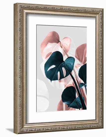 Monstera Creative 17-1x Studio III-Framed Photographic Print