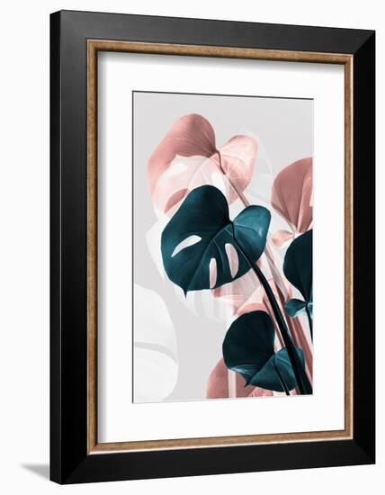 Monstera Creative 17-1x Studio III-Framed Photographic Print