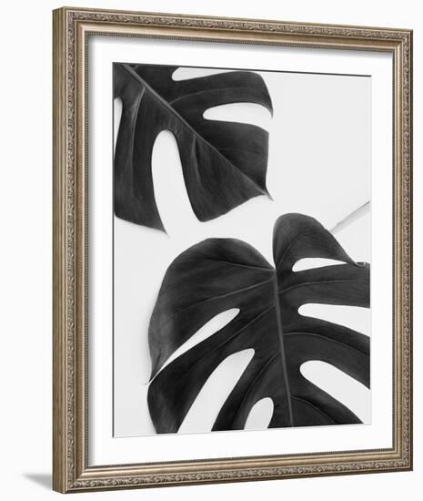 Monstera Duet - Noir-Irene Suchocki-Framed Giclee Print