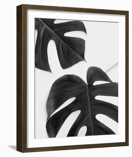 Monstera Duet - Noir-Irene Suchocki-Framed Giclee Print