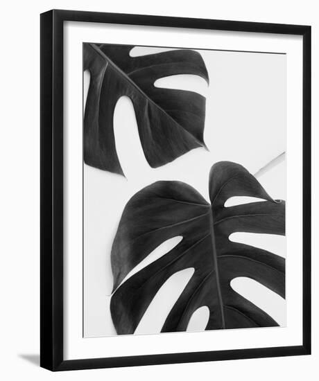 Monstera Duet - Noir-Irene Suchocki-Framed Giclee Print