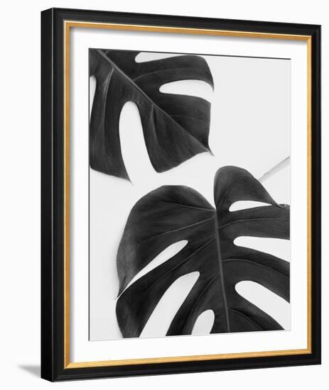 Monstera Duet - Noir-Irene Suchocki-Framed Giclee Print