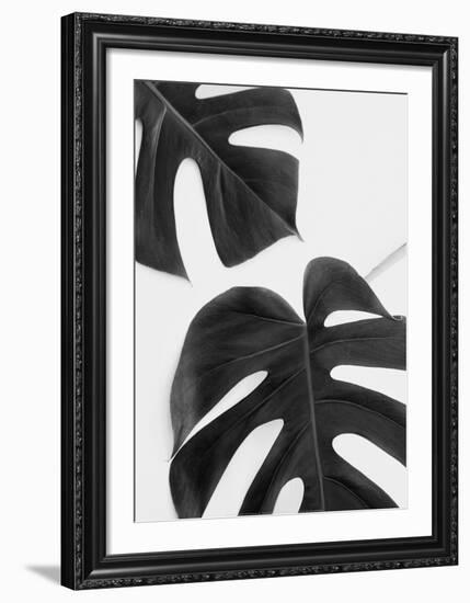 Monstera Duet - Noir-Irene Suchocki-Framed Art Print