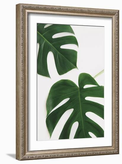 Monstera Duet-Irene Suchocki-Framed Giclee Print