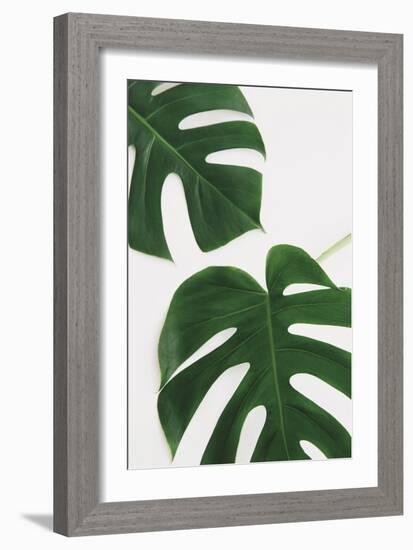 Monstera Duet-Irene Suchocki-Framed Giclee Print