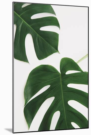 Monstera Duet-Irene Suchocki-Mounted Giclee Print