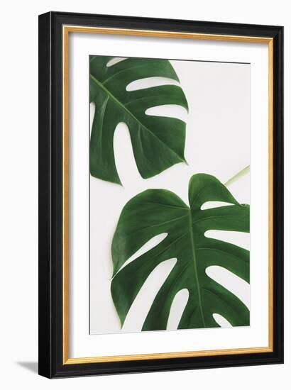 Monstera Duet-Irene Suchocki-Framed Giclee Print