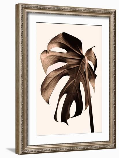 Monstera Gold-Pictufy Studio III-Framed Giclee Print