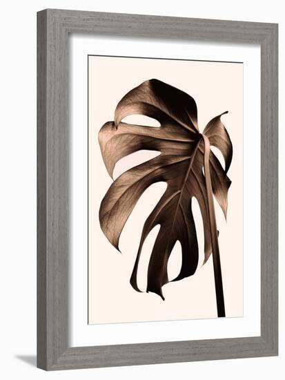 Monstera Gold-Pictufy Studio III-Framed Giclee Print