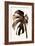 Monstera Gold-Pictufy Studio III-Framed Giclee Print