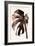 Monstera Gold-Pictufy Studio III-Framed Giclee Print