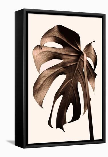 Monstera Gold-Pictufy Studio III-Framed Premier Image Canvas