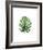 Monstera I-Ann Solo-Framed Art Print