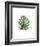 Monstera I-Ann Solo-Framed Art Print