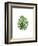 Monstera I-Ann Solo-Framed Art Print