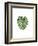 Monstera II-Ann Solo-Framed Art Print