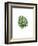 Monstera III-Ann Solo-Framed Art Print