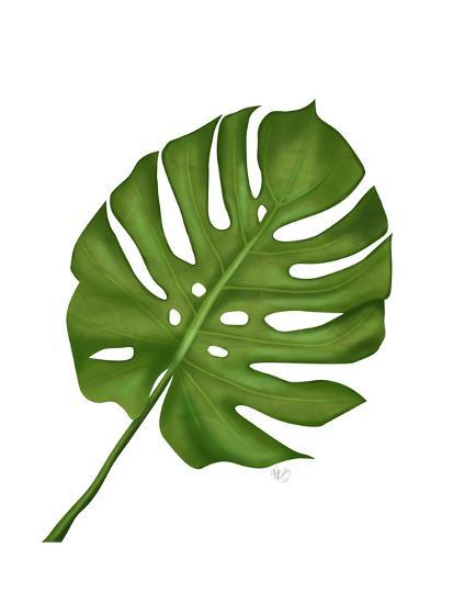 Get Monstera Leaf 1 Green On White Art Print Fab Funky Art Com For Android Free Wallpaper Monstera Leaf 1 Green On White Art Print Fab Funky Art Com HD