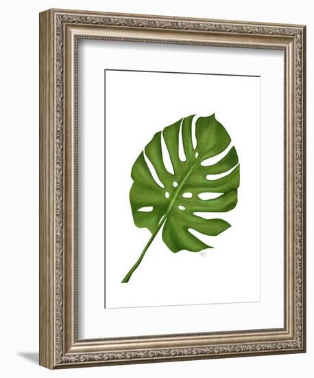 Monstera Leaf 1, Green on White-Fab Funky-Framed Art Print