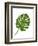 Monstera Leaf 1, Green on White-Fab Funky-Framed Art Print