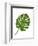 Monstera Leaf 1, Green on White-Fab Funky-Framed Art Print