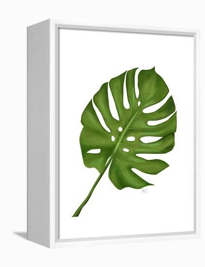 Monstera Leaf 1, Green on White-Fab Funky-Framed Stretched Canvas