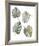 Monstera Leaves-Sandra Jacobs-Framed Giclee Print