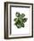 Monstera Plant, Green on White-Fab Funky-Framed Art Print