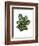 Monstera Plant, Green on White-Fab Funky-Framed Art Print