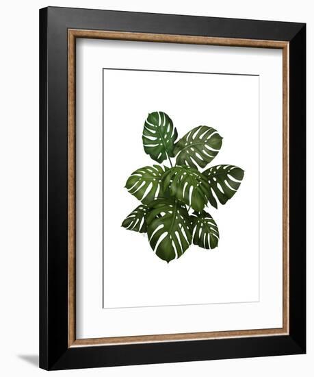 Monstera Plant, Green on White-Fab Funky-Framed Art Print