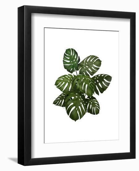 Monstera Plant, Green on White-Fab Funky-Framed Art Print