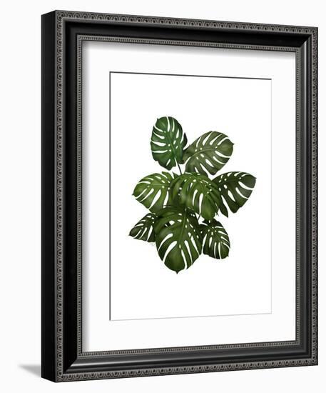 Monstera Plant, Green on White-Fab Funky-Framed Art Print