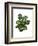 Monstera Plant, Green on White-Fab Funky-Framed Art Print