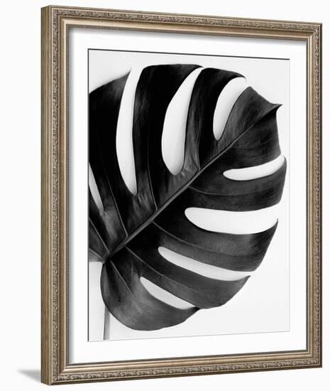 Monstera Solo - Noir-Irene Suchocki-Framed Giclee Print