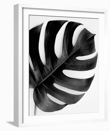 Monstera Solo - Noir-Irene Suchocki-Framed Giclee Print