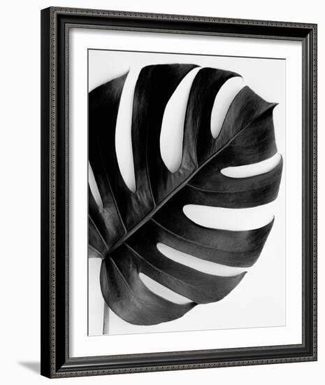 Monstera Solo - Noir-Irene Suchocki-Framed Giclee Print