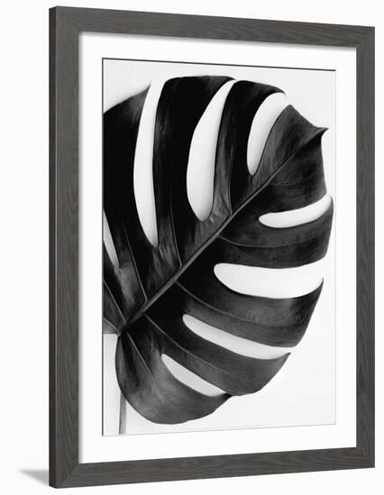 Monstera Solo - Noir-Irene Suchocki-Framed Art Print